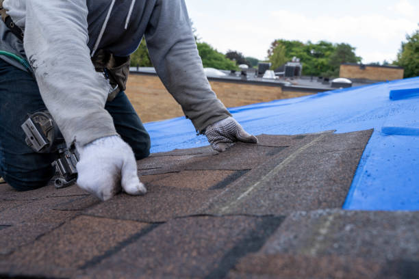 Quick and Trustworthy Emergency Roof Repair Services in Seymour, TN